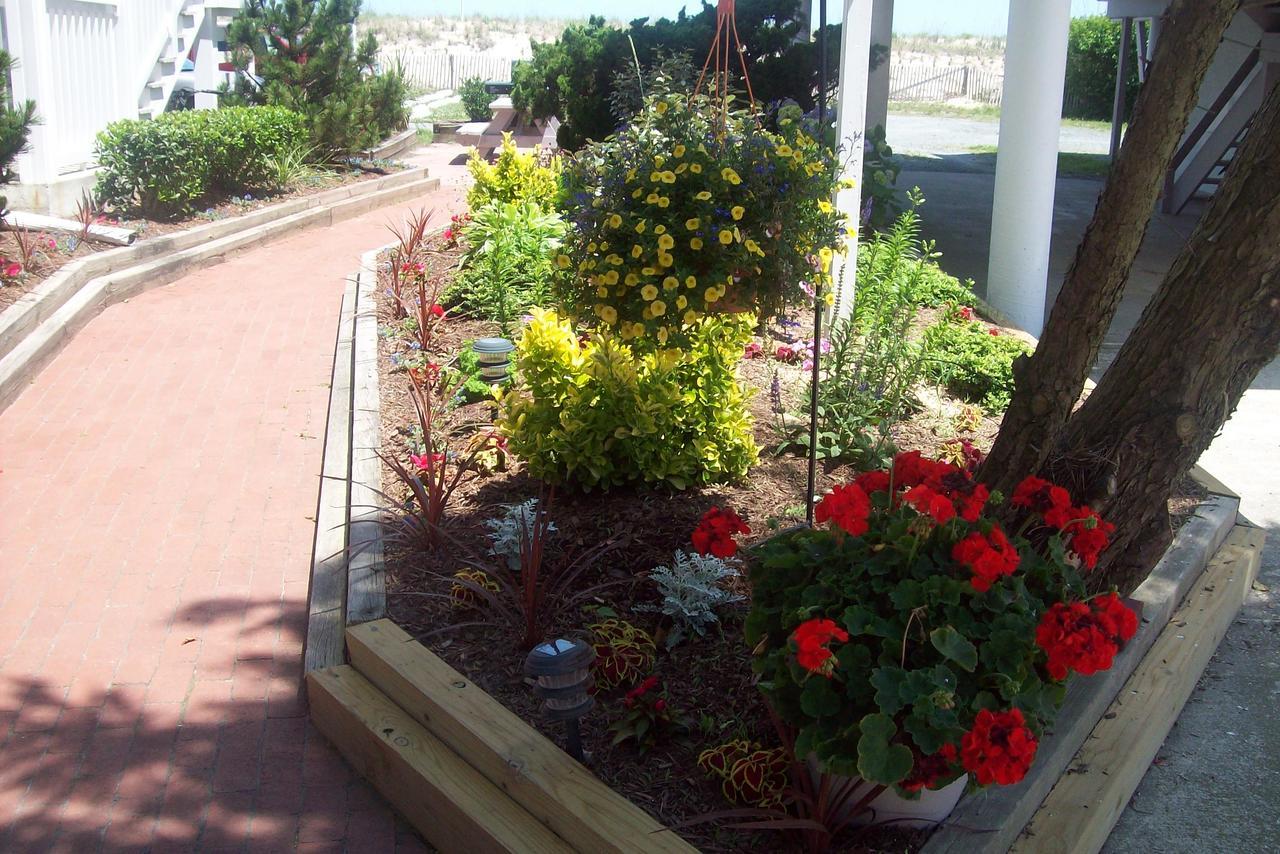 Adams Ocean Front Resort Dewey Beach Exterior photo